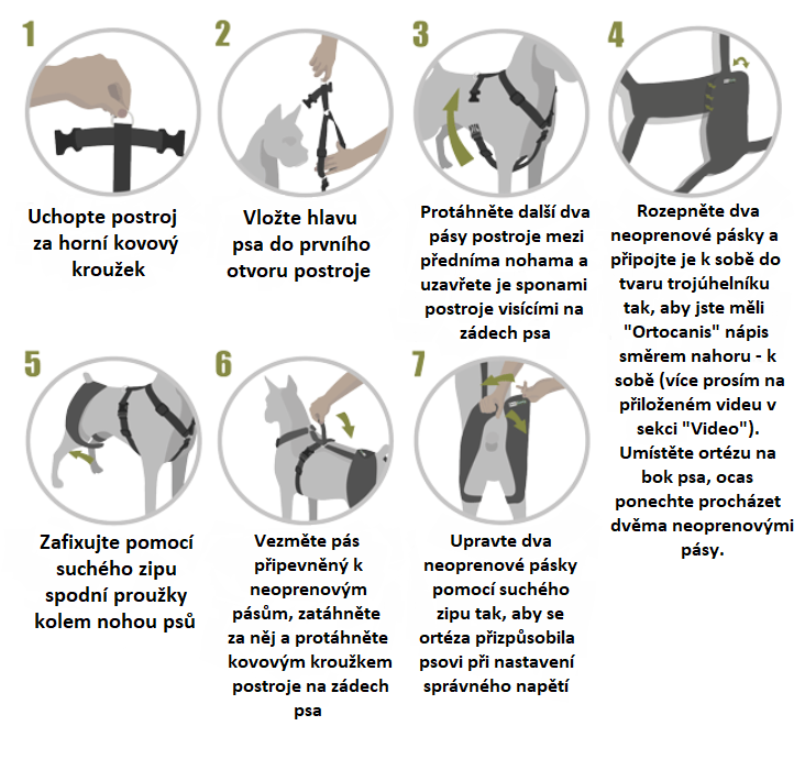 Instrukce kyčel ort